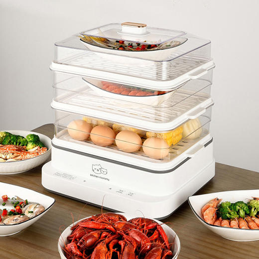 厨创妈咪多功能电蒸锅_DZG-001【K】 商品图0