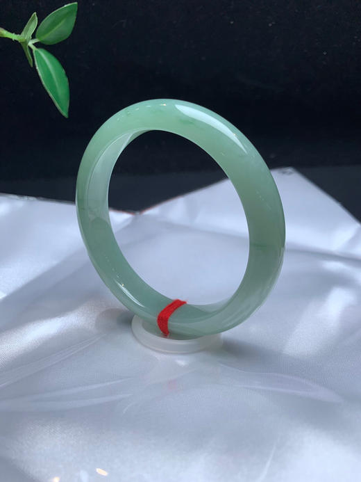 612536，56.8绿底正圈手镯，特别清新秀气，整体润润 商品图3