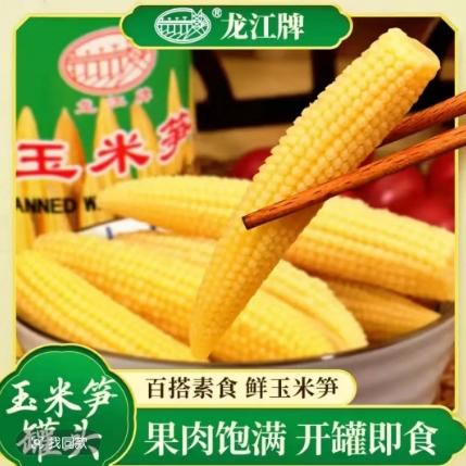 龙江牌玉米笋425g/罐 商品图0