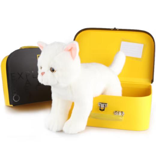 国家地理 毛绒玩具动物玩偶 异国短毛猫10.5英寸礼盒版 商品图0