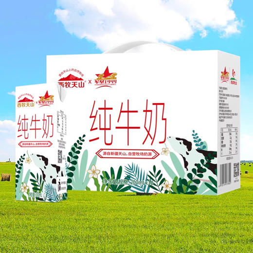 西牧天山·新疆纯牛奶200g*10盒*5箱  源自新疆自有军垦牧场 商品图5