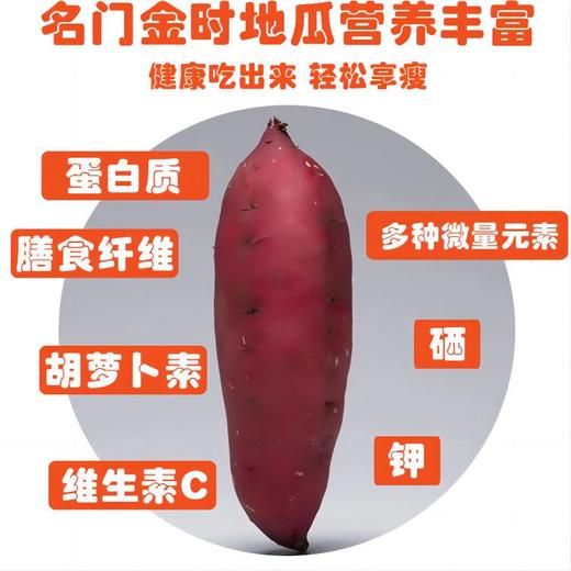 【桥头地瓜/金时地瓜】糯而不水 粉而不干 口感绵密清甜 商品图3