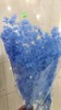 永生花材 | 蓬莱松湖蓝色 商品缩略图0