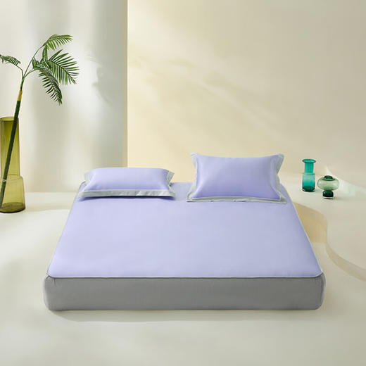 【分仓直发包邮】LOVO果果奶冻A类可水洗凉席（床笠款）150*200cm 商品图0