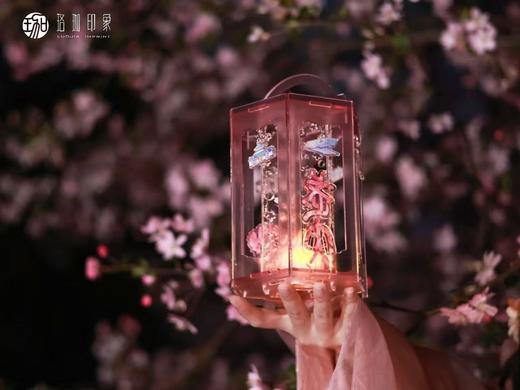 珞珈晓月宫灯 商品图7