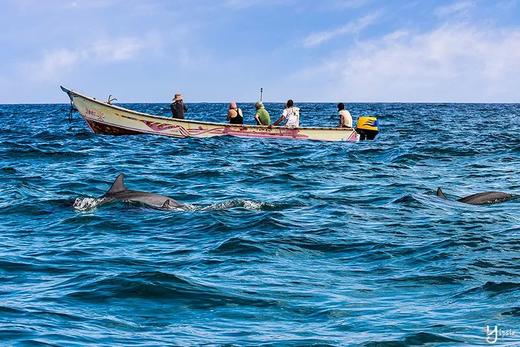 【地球最神秘最美岛屿，宛如外星球】也门·索科特拉岛、龙血树森林、沙漠玫瑰10天摄影团 商品图3
