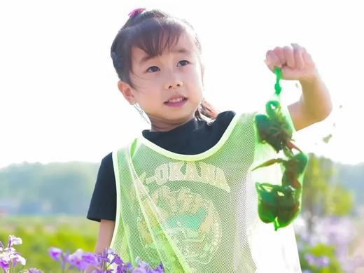 稻田农耕季｜插秧摸鱼；打糍粑；做稻田生态鱼缸，做一天快乐小农人 商品图3