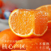 云南沃柑，几乎纯甜无酸，普通沃柑甜度 12 - 15°，云南沃柑可达 16 - 20°，咬下后汁水狂飙，清甜果汁在口腔四溢，沃柑热量低，能增加饱腹感，富含维生素 C、类胡萝卜素、膳食纤维等多种营养物质 商品缩略图3
