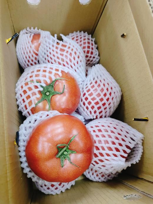 普罗旺斯柿子一箱 商品图1