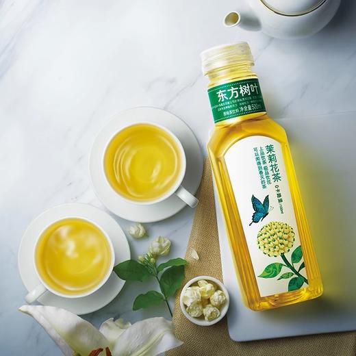 东方树叶茉莉花茶调味茶饮料500ml 商品图2