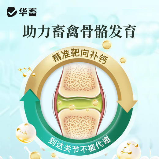 淘牧 钙磷十八补1kg 钙磷双补壮骨促生长 禽畜通用微量元素饲料添加剂X 商品图1