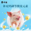 淘牧 钙磷十八补1kg 钙磷双补壮骨促生长 禽畜通用微量元素饲料添加剂X 商品缩略图2