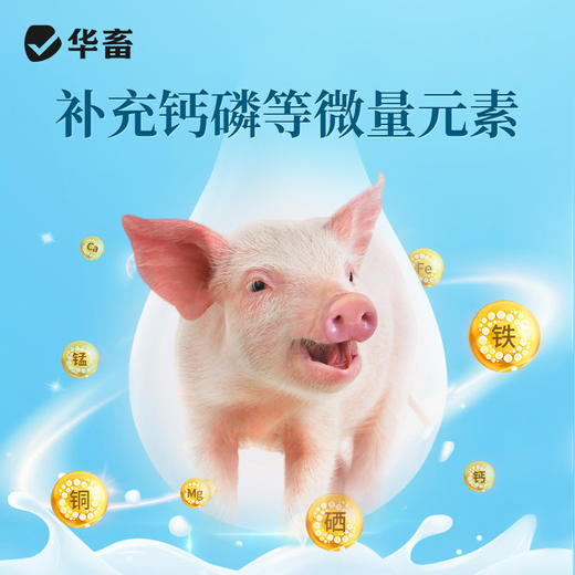 淘牧 钙磷十八补1kg 钙磷双补壮骨促生长 禽畜通用微量元素饲料添加剂X 商品图2