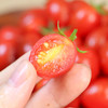 【山东好物】三色番茄  3斤  顺丰直达 商品缩略图7