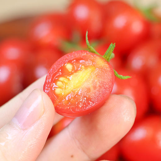 【山东好物】三色番茄  3斤  顺丰直达 商品图7