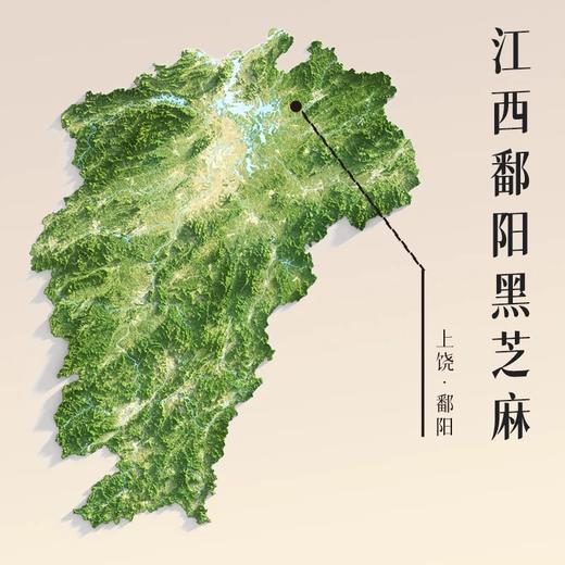 超及食沃 纯黑芝麻180g 低温粉碎不脱油营养美味 商品图4