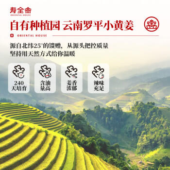 寿全斋 红糖姜茶 大姨妈热饮可喝生姜糖茶姜枣茶红糖水独立小包装 120g /水饮冲调 /花草/养生茶 /养生茶/配方茶/调味茶 商品图6