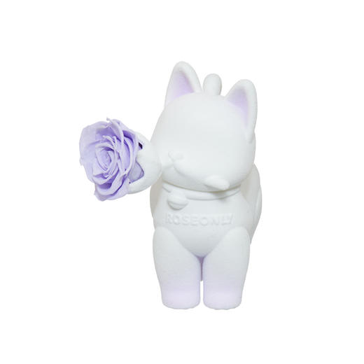 ROSEONLY诺誓 永生玫瑰 公仔系列 嘻嘻猫白蓝拾花版  Baby宝贝系列 送朋友 情人节礼物 商品图9