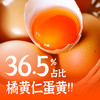 探寻初味-正宗谷饲黑鸡鸡蛋 商品缩略图4