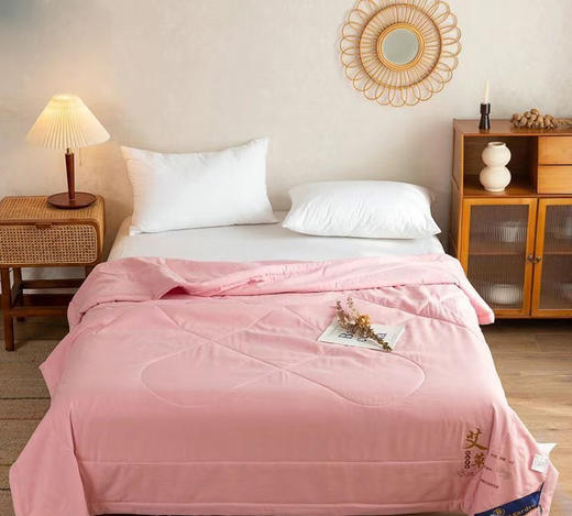 艾草夏凉被（单/双人：家庭装、礼盒装） 商品图2