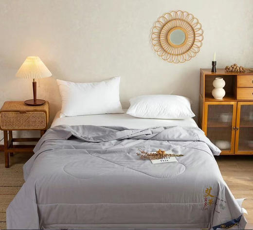 艾草夏凉被（单/双人：家庭装、礼盒装） 商品图1