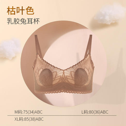 春夏轻奢性感透气蕾丝兔耳杯内衣 乳胶防螨抑菌杯无痕透气内衣 商品图7