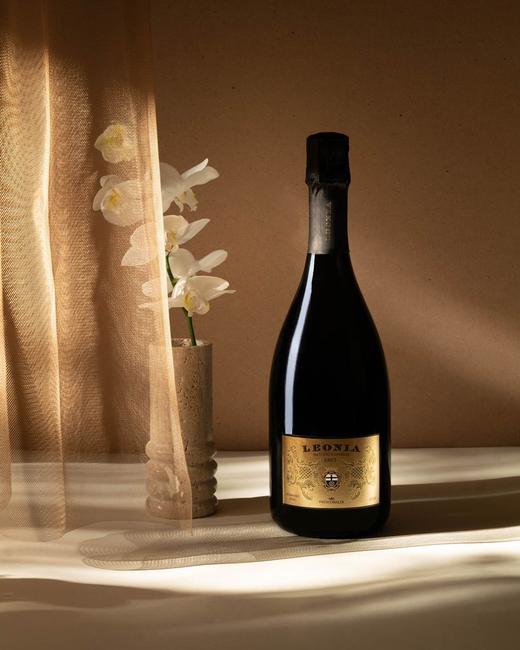 Castello Pomino Leonia Pomino Metodo Classico Brut 花思蝶宝米诺酒庄莉奥妮娅诺传统工艺天然型起泡酒 商品图1