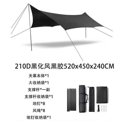 飞图乐（FTLY）蝶形黑胶大天幕19㎡米白/酷黑（下单请备注颜色哦） 商品图4