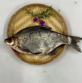 德清鲜活扁鱼(17.8元/条约1斤左右)明天到