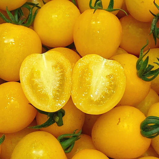 【山东好物】三色番茄  3斤  顺丰直达 商品图4