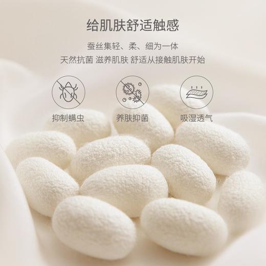 【99元/2件】轻奢缎面蚕丝莫代尔内衣 提拉防下垂收副乳无痕文胸女士内衣 商品图6