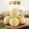 【分仓直发包邮】皇冠梨3斤大果（4-6个） 商品缩略图0