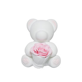 ROSEONLY诺誓 永生玫瑰 公仔系列 苏格熊 捧花版白色 Baby宝贝 送朋友 情人节礼物