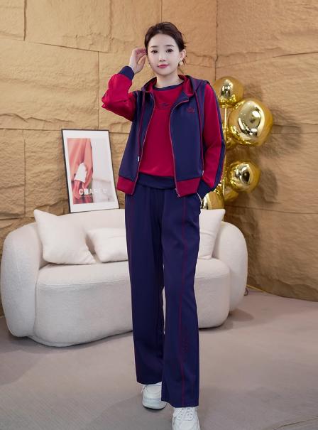 时尚休闲运动套装，春秋卫衣马甲气质中老年三件套LJX-554 商品图1