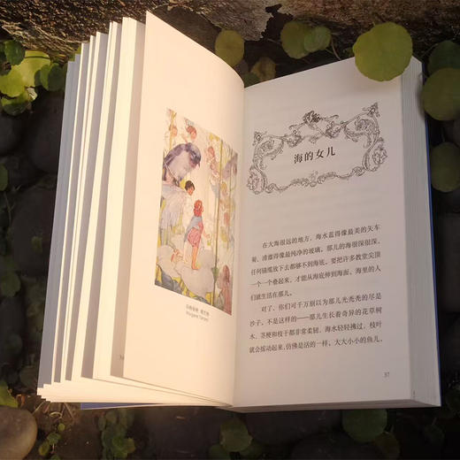 安徒生童话选 周克希译本 “插画黄金时代”巨匠插图版 商品图1