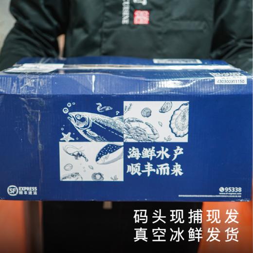 饱记2026年东海冰鲜鲳鱼顺丰冷链 商品图4