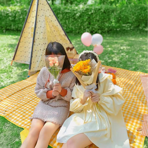 华小贝 户外郊游露营野餐垫加厚防水防潮便携出游草坪垫子 商品图3