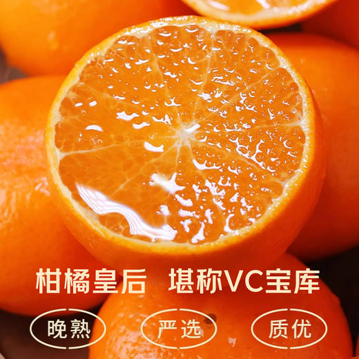 云南沃柑，几乎纯甜无酸，普通沃柑甜度 12 - 15°，云南沃柑可达 16 - 20°，咬下后汁水狂飙，清甜果汁在口腔四溢，沃柑热量低，能增加饱腹感，富含维生素 C、类胡萝卜素、膳食纤维等多种营养物质 商品图1