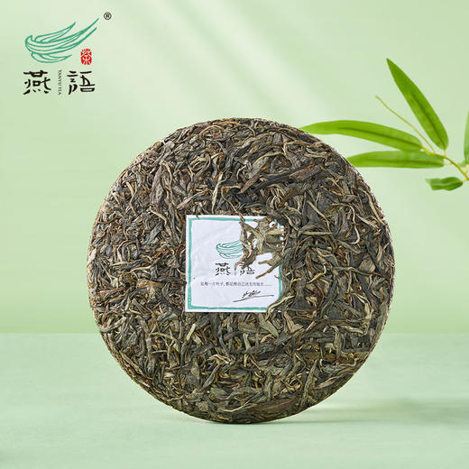 2025燕语有机营盘古树春饼礼盒装349g（生普） 商品图4