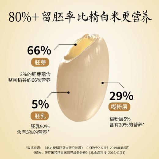 拓高 东铁村东北黑土地鲜活胚芽米5kg/袋【周日不发货】 商品图1