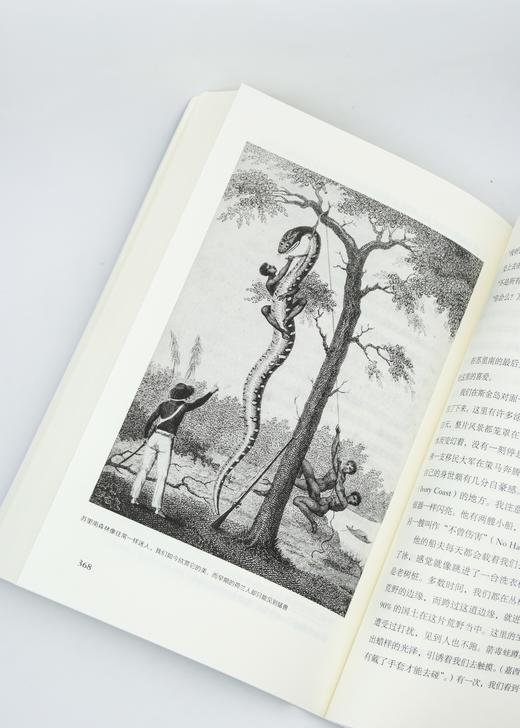 远方译丛12种 团购优惠 赠企鹅设计帆布袋，共30个，赠完为止 （套装下单链接） 商品图5