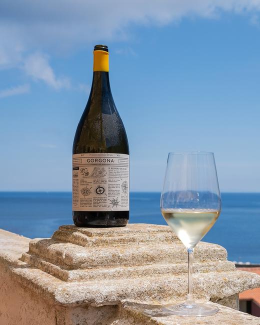 Gorgona White 戈尔贡干白葡萄酒 商品图1