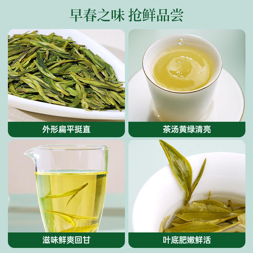 【送试泡】25年新茶华祥苑特级明前龙井头采绿茶56g正品盒装 商品图6