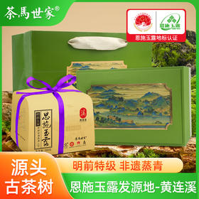 【2025新茶】茶马世家恩施玉露明前特级老树春茶非遗蒸青绿茶200g