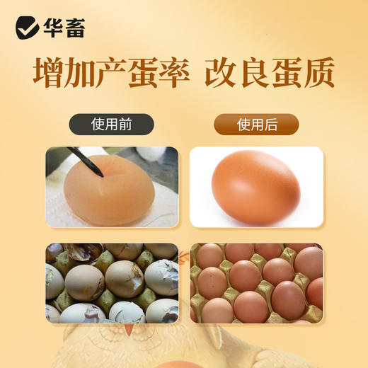 淘牧 钙磷十八补1kg 钙磷双补壮骨促生长 禽畜通用微量元素饲料添加剂X 商品图3