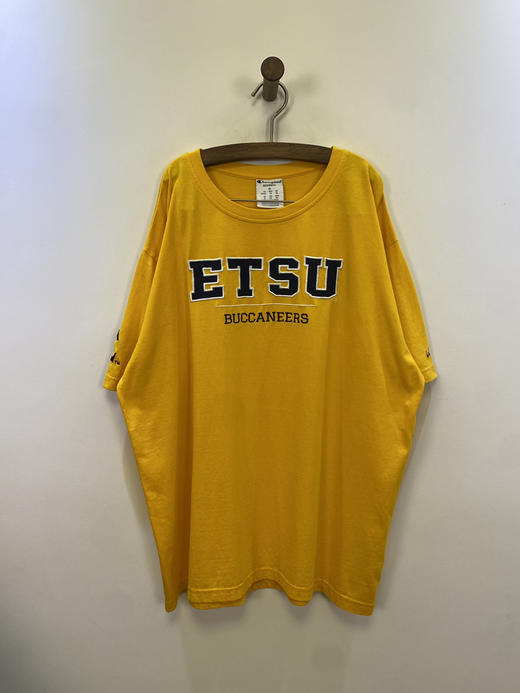 Champion 冠军 全刺绣 短袖T恤 _SST(XL) 商品图0