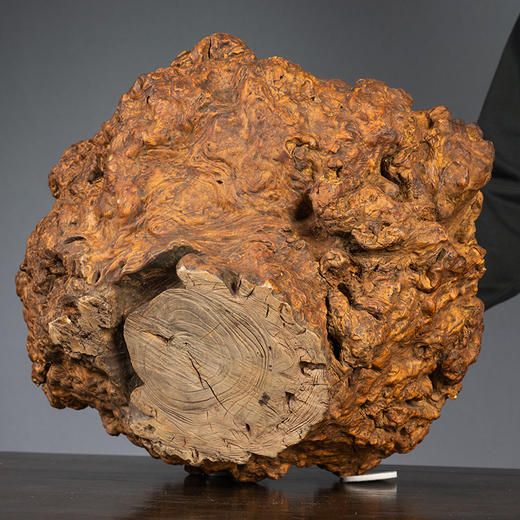 清 瘿木树瘤聚宝盆 商品图3