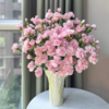 粉飞鸽 多丁康乃馨丨18+2防损 商品缩略图1