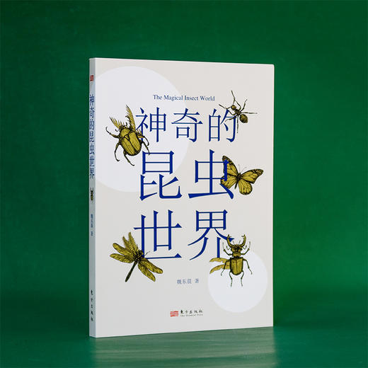 《神奇的昆虫世界》 商品图4