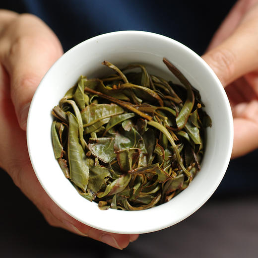 【春茶季】2026年贺开头春古树纯料散茶50克罐装 商品图3